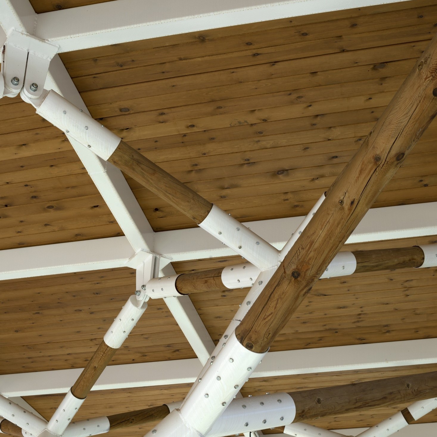 La Pea Schoolyard Canopy